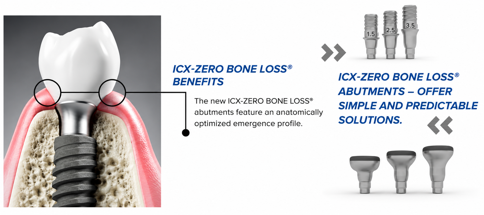 ICX-ZEROBONE